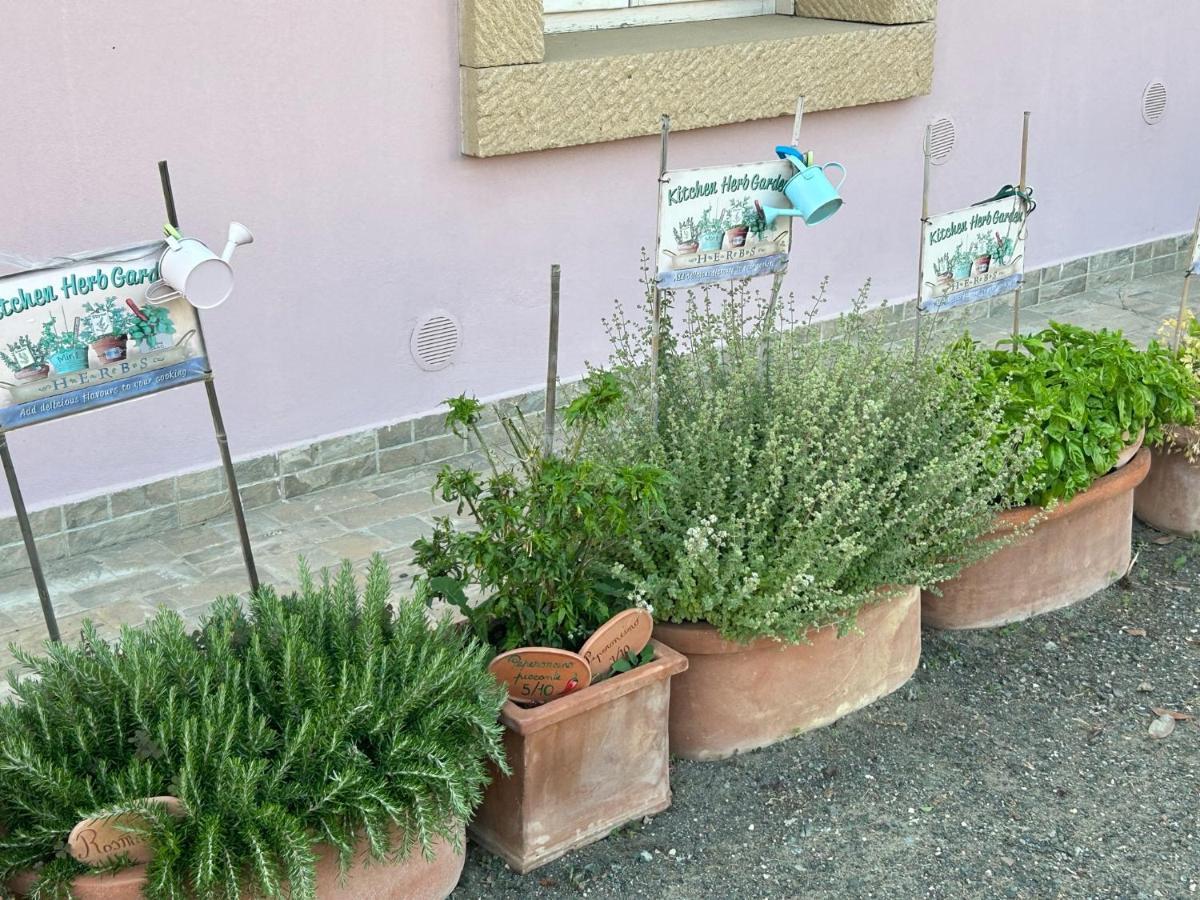 Fattoria Palazzeta - Pet & Family Friendly Aparthotel Cecina  Ngoại thất bức ảnh