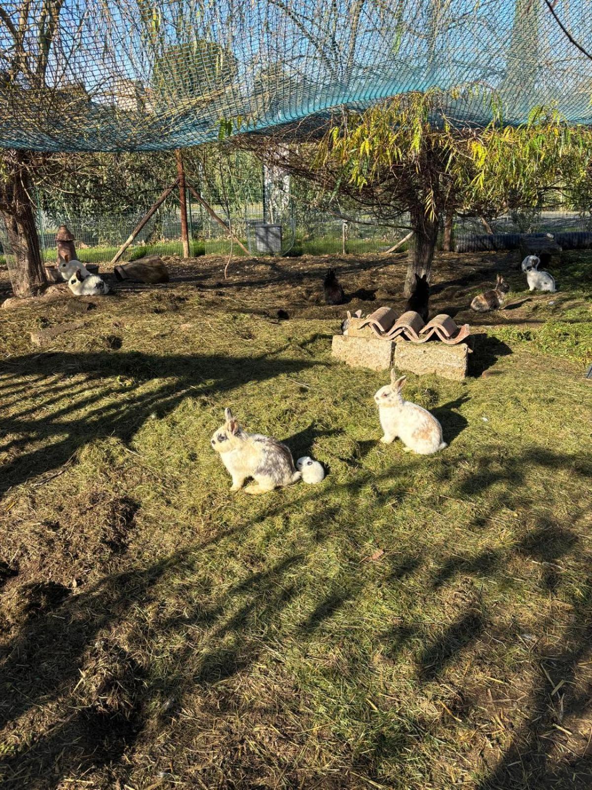 Fattoria Palazzeta - Pet & Family Friendly Aparthotel Cecina  Ngoại thất bức ảnh